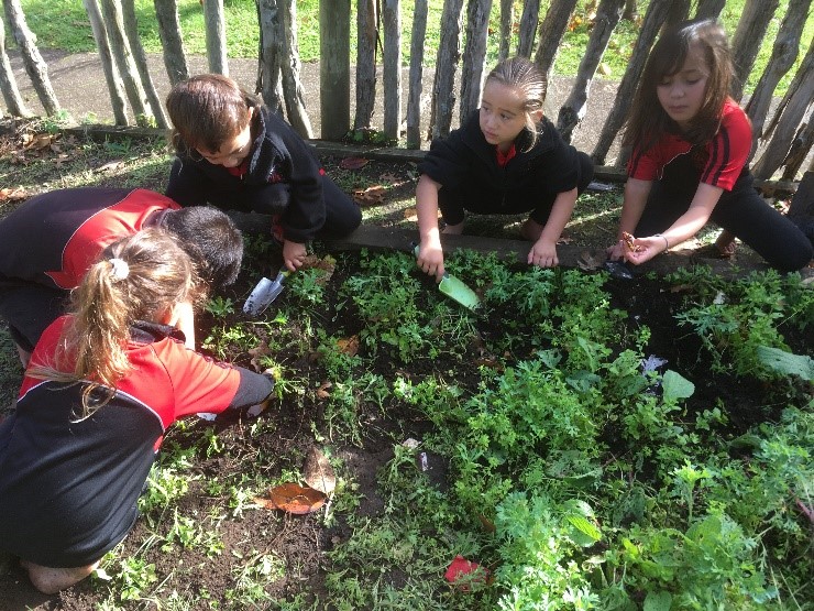 Enviroschools | Experiential learning leads to a living Vision at ...