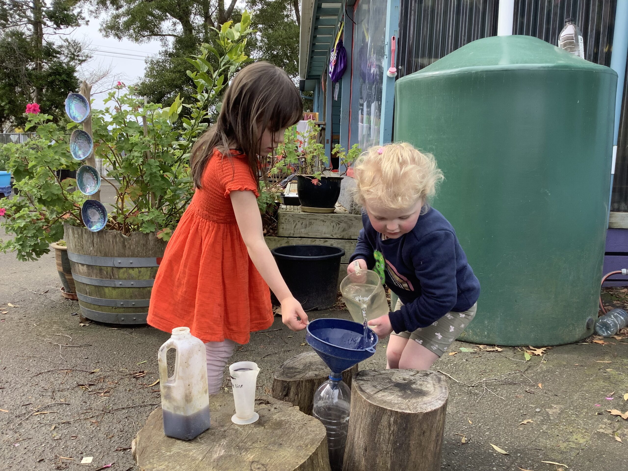 Enviroschools | Empowered tamariki contribute to a sustainable community