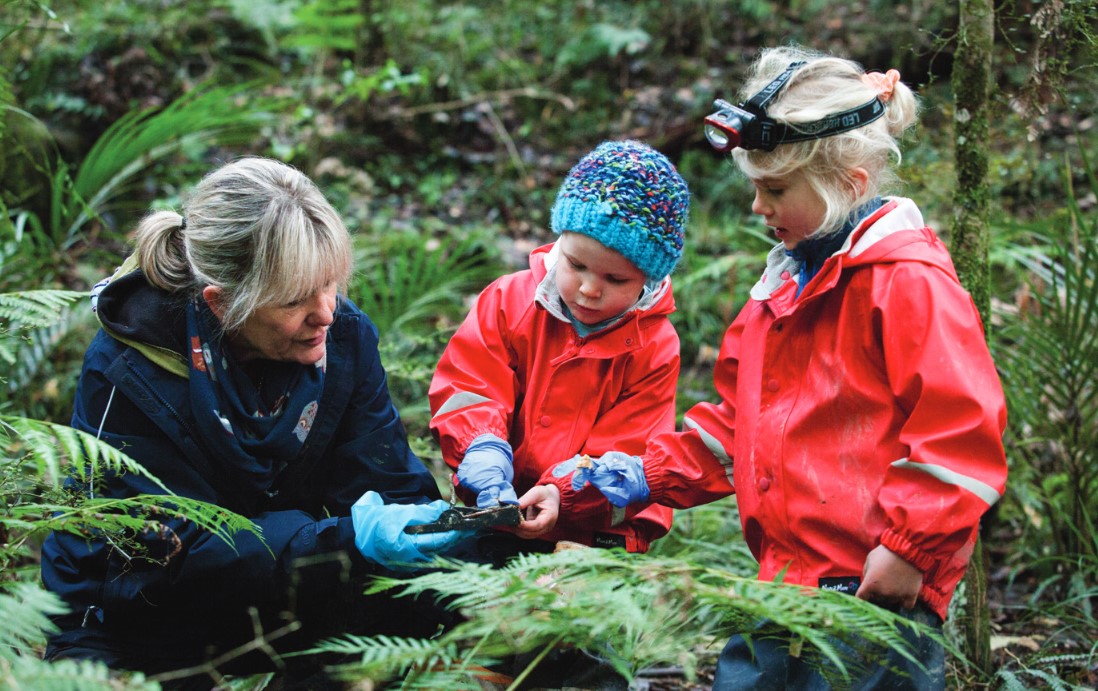 Enviroschools | Recognition for Kerikeri Kindergarten commitment