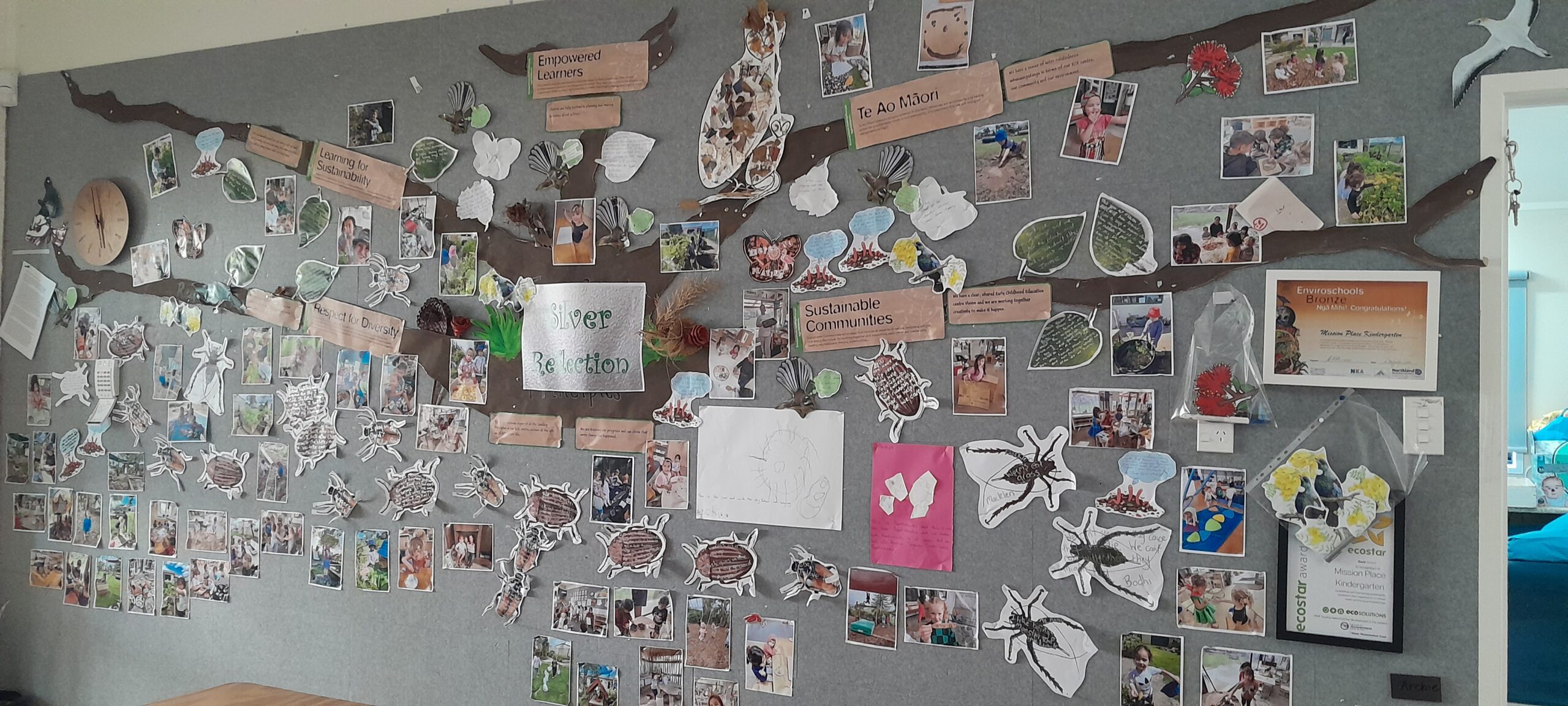 Enviroschools | Highlighting shifts in teaching and learning at Mission