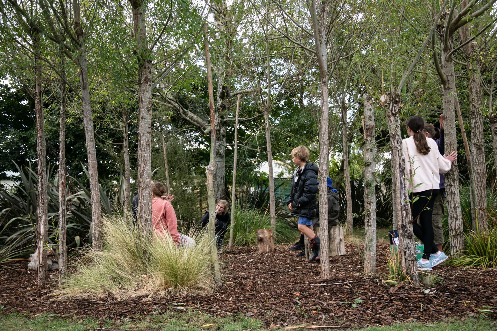 Enviroschools | Building with nature in mind – Wairarapa Workshop